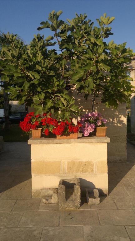 Отель Masseria Grande Торре дель'Орсо Экстерьер фото